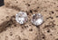 Boucles d'oreilles clous en argent 925 et Zirconium