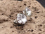 Boucles d'oreilles clous en argent 925 et Zirconium