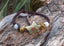 Bracelet ethnique nature en pierres naturelles et pierre de lune