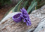 Bague Vintage en cuir marguerite fleur violette taille réglable