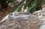 Bracelet Tibétain en argent 999, fleur de lotus, spiritualité, sutra, méditation