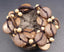 Bracelet multirangs ethnique nature perles en noix de coco