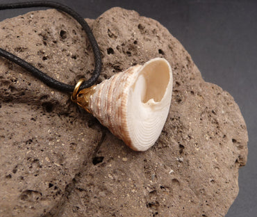 Collier en coquillage de Tahiti