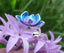 Bague Bouddhiste Tibétaine fleur de lotus en argent 925