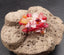 Bague Diana avec chips de corail, quartz rose et cristal de roche