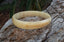 Bracelet jonc en corne de zébu beige Madagascar
