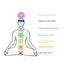Bracelet 7 chakras en Oeil de Tigre et pierres semi-précieuses