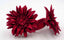 Bague Vintage en cuir marguerite fleur rouge taille réglable