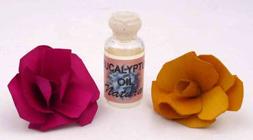 Huile essentielle Eucalyptus 100 % pure et naturelle massage bain aromathérapie