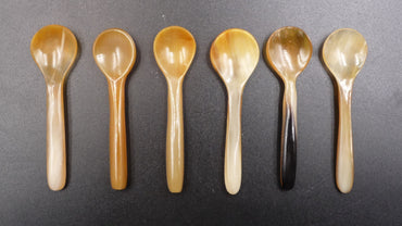 6 cuillères à épices, verrines, sel, poivre, caviar etc.. en corne de zébu 5 cm