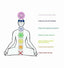Bracelet Bouddha 7 chakras en pierre de lave et pierres semi-précieuses.