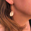 Boucles d'oreilles forme créole en coquillages cauris