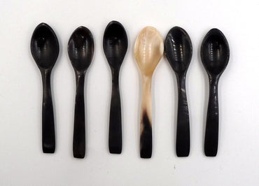6 cuillères à café, moka, sel, poivre en corne de zébu bio de Madagascar 8,5 cm