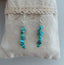 Boucles d'oreilles pendantes en Howlite Turquoise, perles forme chips