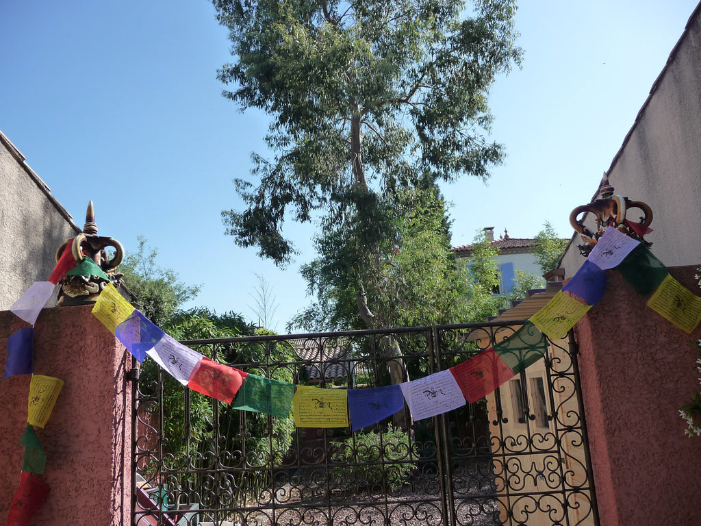 25 drapeaux de prières Tibétains Longueur : 5 mètres