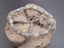 Bracelet Labradorite de Madagascar AAA - perles nuggets