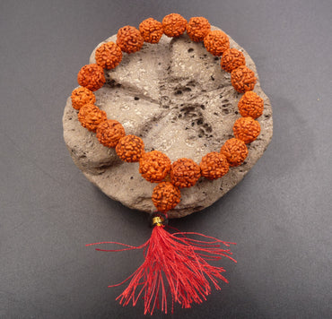 Véritable bracelet Mala en graines de Rudraksha du Népal