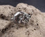Bague Tibétaine Bouddhiste en argent 925 - Fleur de Lotus et Carpe Koi
