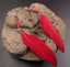Boucles d'oreilles Amérindiennes plume rouge et perles - Crochets en argent 925