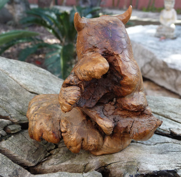 Chouette sur bois et champignon parasite