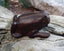 Statuette grenouille en bois de rose artisanat de Madagascar