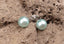 Boucles d’oreilles clous en Argent 925 – Perle d’eau douce colorée