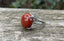 Bague ronde en Jaspe Rouge d'Inde