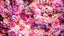 Huile de Rose de Damas 100 % Pure et Naturelle 30 ml